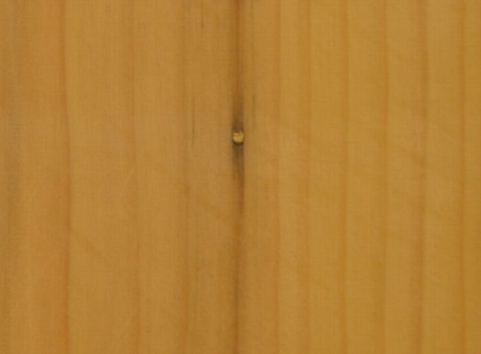 二寸九分五厘卓上盤底面のセンコウ虫の跡の埋木部分