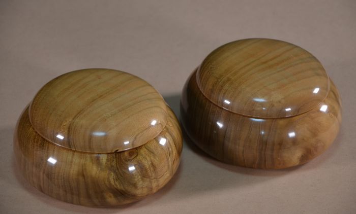 碁笥島桑全体